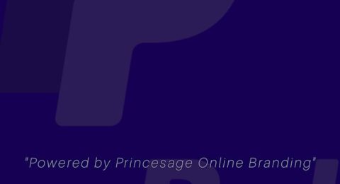 Guide-2Bto-2Breceive-2Bpaypal-2B-25281-2529.png